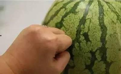 吃瓜听不清,揭秘网络热议背后的真相与误解