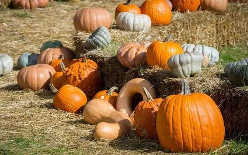 周大福吃瓜,揭秘珠宝界的“瓜田”风云