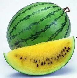 全网吃瓜最快,揭秘最快吃瓜秘籍