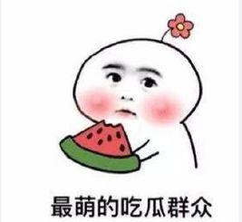 吃瓜群众没带瓜怎么办