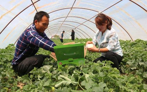 传媒内部吃瓜,内部“吃瓜”事件背后的真相