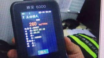 吃瓜酒驾抽血,吃瓜群众见证抽血检测全过程