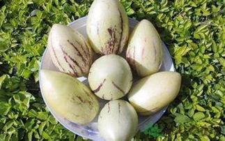 发炎吃茄瓜,天然食材的神奇疗效