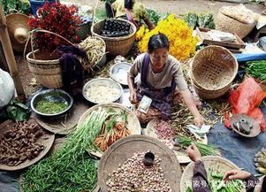 缅甸中国居民吃瓜,瓜果飘香，共享清凉时光