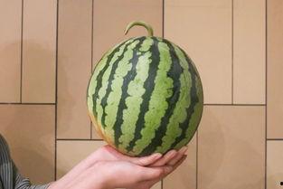 吃瓜全是瓜,网络热词背后的文化现象