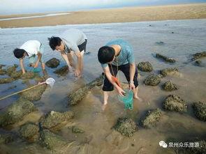 海边吃瓜主题画,瓜果飘香，尽享海风与甜蜜